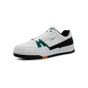 Men's skateboard shoes/23AS651